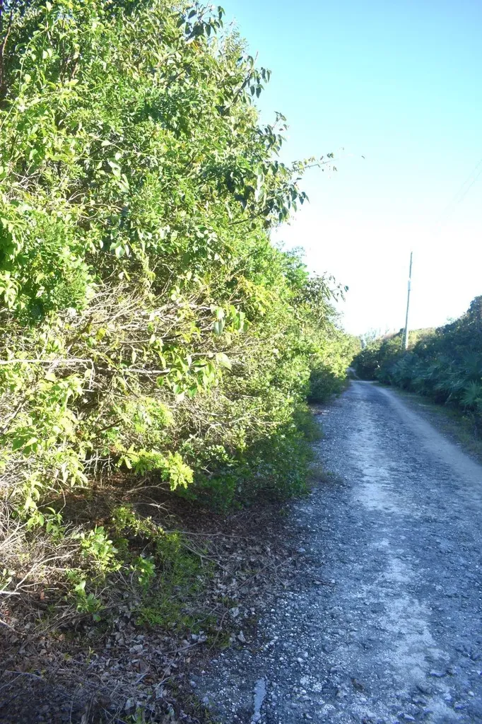 Whale Point Estates Eleuthera BS