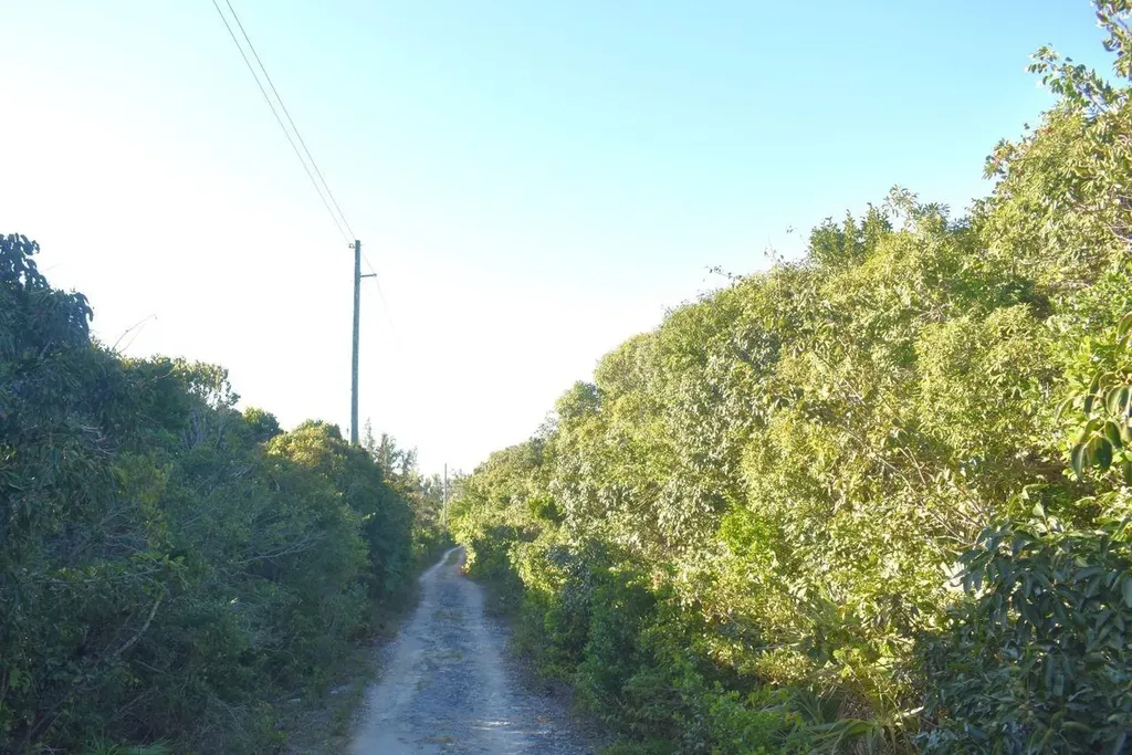 Whale Point Estates Eleuthera BS