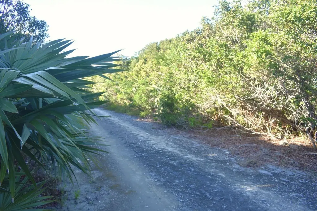 Whale Point Estates Eleuthera BS