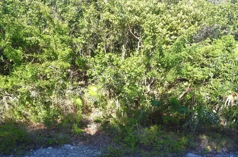 Whale Point Estates Eleuthera BS