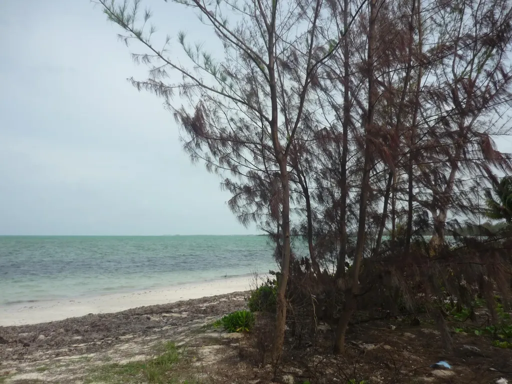 1.020 Acres Mangrove Cay Andros BS
