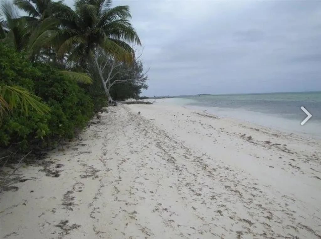 1.020 Acres Mangrove Cay Andros BS