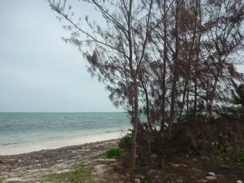 1.020 Acres Mangrove Cay Andros BS