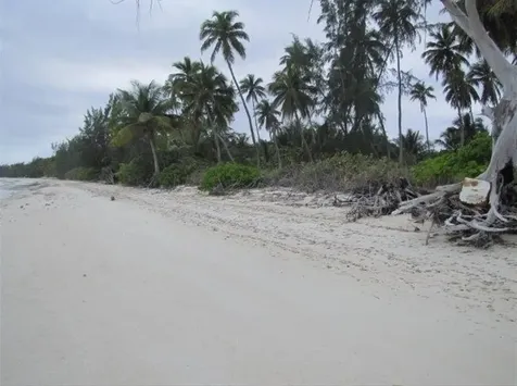 1.020 Acres Mangrove Cay Andros BS