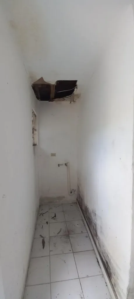 Johnson Terrace 26 New Providence Paradise Island BS