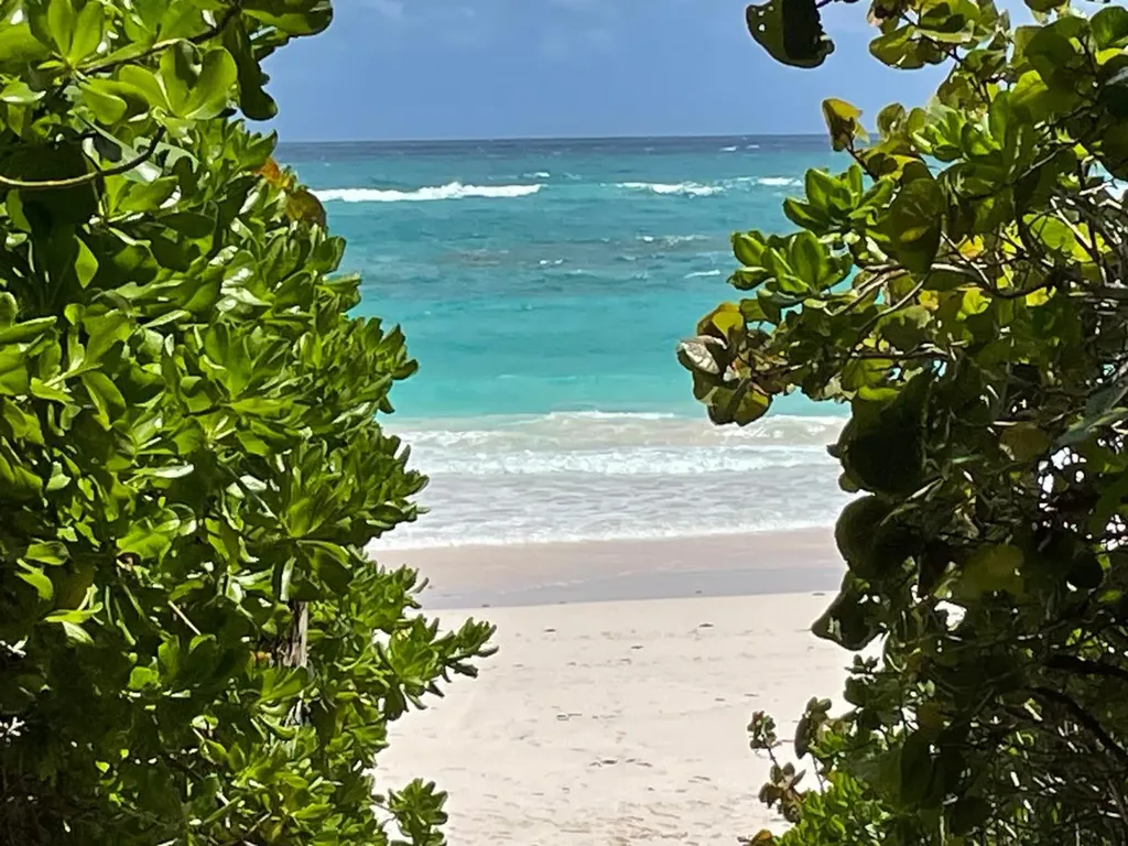 11 Triana Shores Eleuthera BS