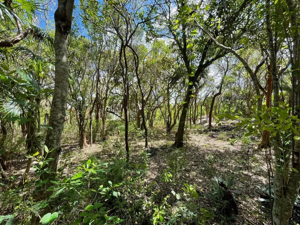 11 Triana Shores Eleuthera BS