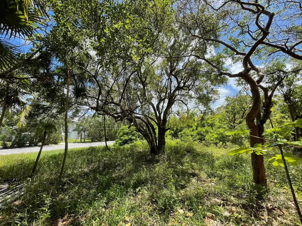 11 Triana Shores Eleuthera BS