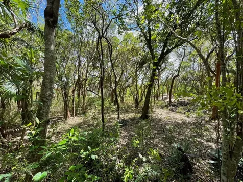 11 Triana Shores Eleuthera BS