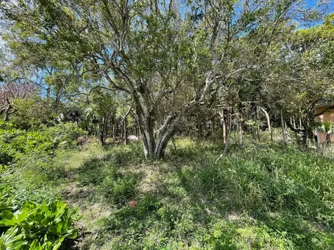 11 Triana Shores Eleuthera BS