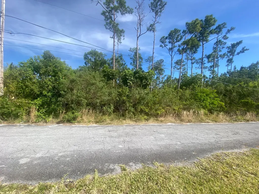 Peacock Lane 13-14 Grand Bahama Freeport BS