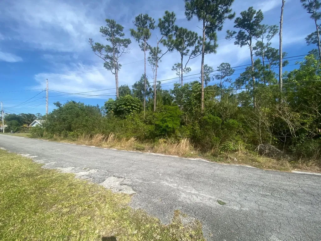 Peacock Lane Grand Bahama Freeport BS