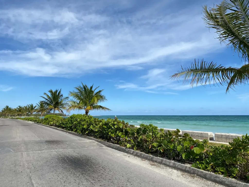 Peacock Lane Grand Bahama Freeport BS