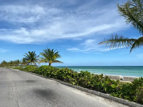 Peacock Lane Grand Bahama Freeport BS