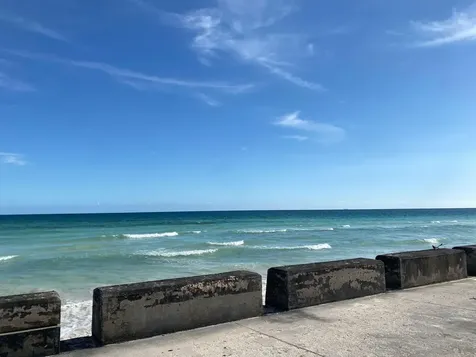 Peacock Lane Grand Bahama Freeport BS