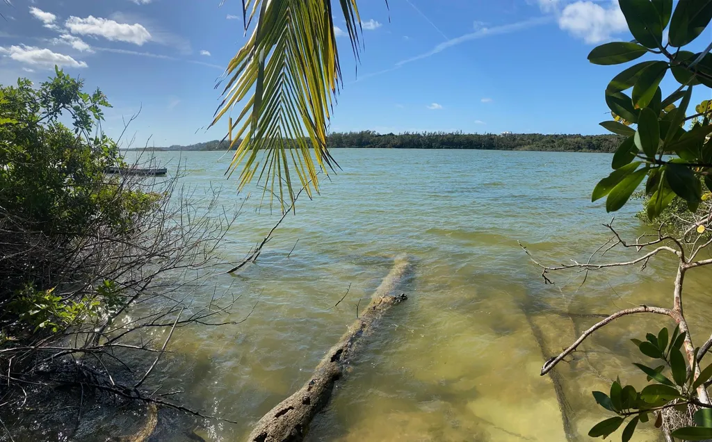 Oakhill Road New Providence Paradise Island BS