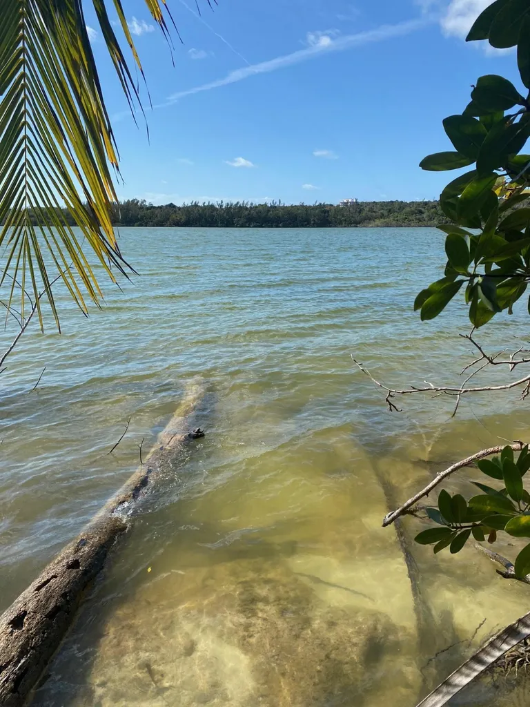 Oakhill Road New Providence Paradise Island BS