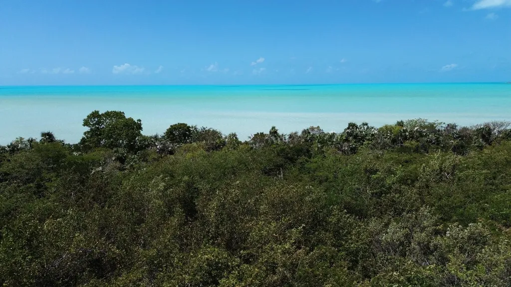 Bahama Island Beach Exuma BS