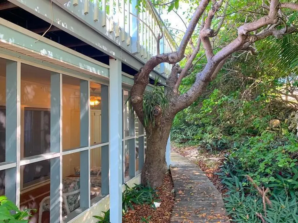 Island Oasis Long Island BS