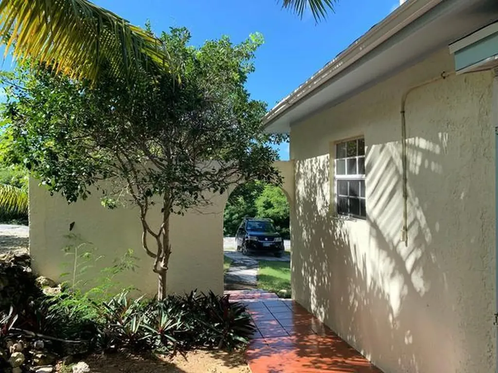 Island Oasis Long Island BS