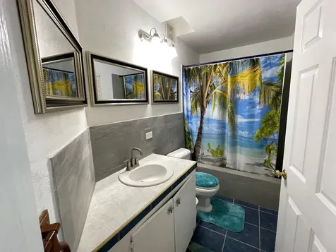 Island Oasis Long Island BS