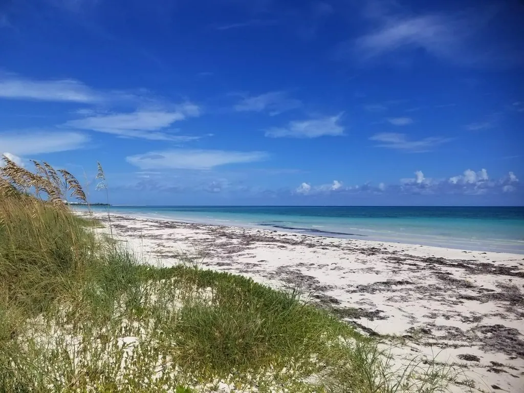 Tyne Beach Terrace Grand Bahama Freeport BS