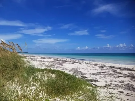 Tyne Beach Terrace Grand Bahama Freeport BS