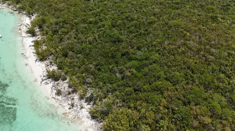Lubbers Quarters Abaco BS