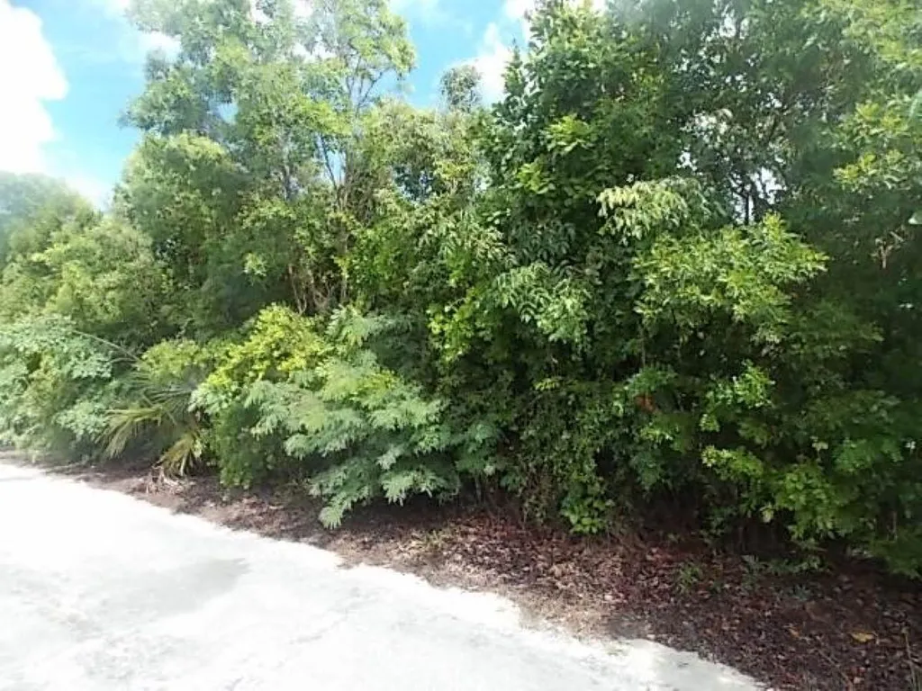 Mount Curtis Dr, Stella M Long Island BS