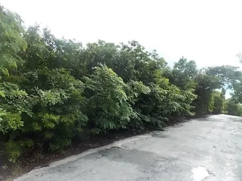 Mount Curtis Dr, Stella M Long Island BS