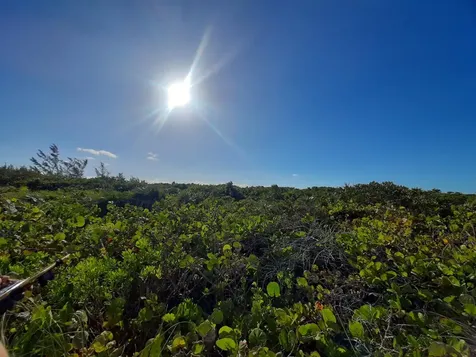 Ocean Drive, Cat Island Cat Island BS