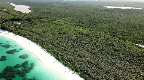 Ocean Drive, Cat Island Cat Island BS