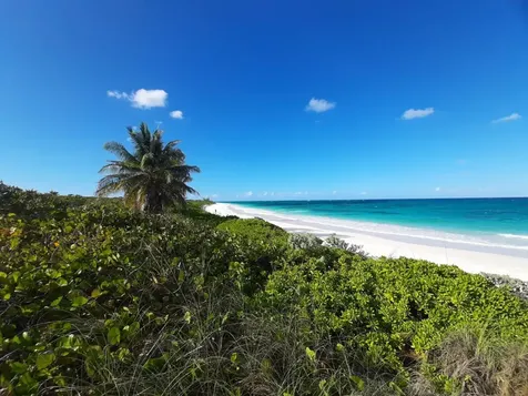 Ocean Drive, Cat Island Cat Island BS