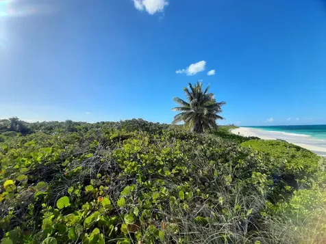 Ocean Drive, Cat Island Cat Island BS