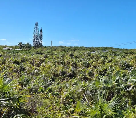 Percy Road Exuma BS