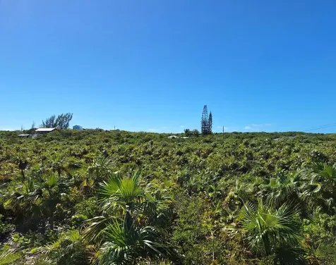 Percy Road Exuma BS