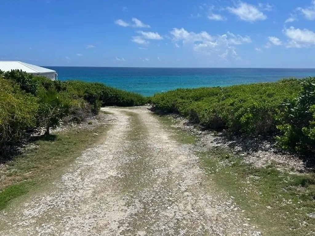 Yellow Wood, Cherokee Abaco BS