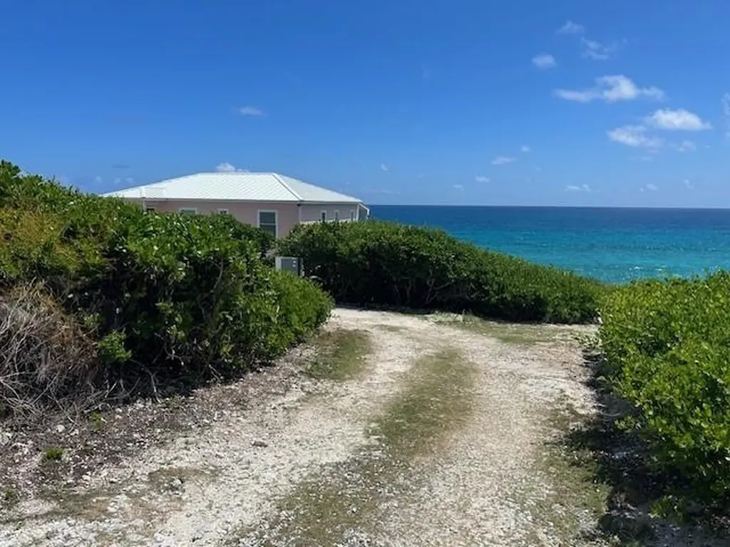 Yellow Wood, Cherokee Abaco BS