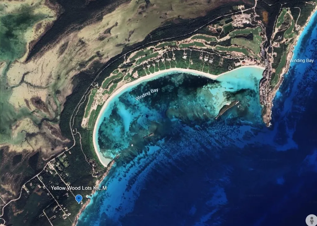 Yellow Wood, Cherokee Abaco BS