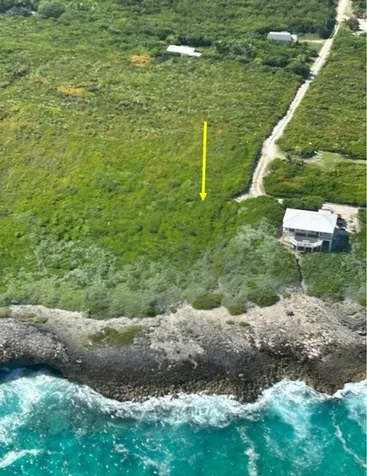 Yellow Wood, Cherokee Abaco BS