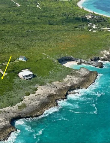 Yellow Wood, Cherokee Abaco BS