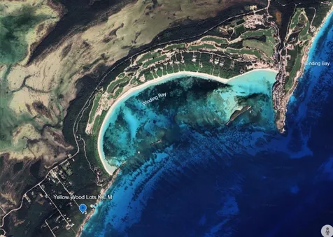 Yellow Wood, Cherokee Abaco BS