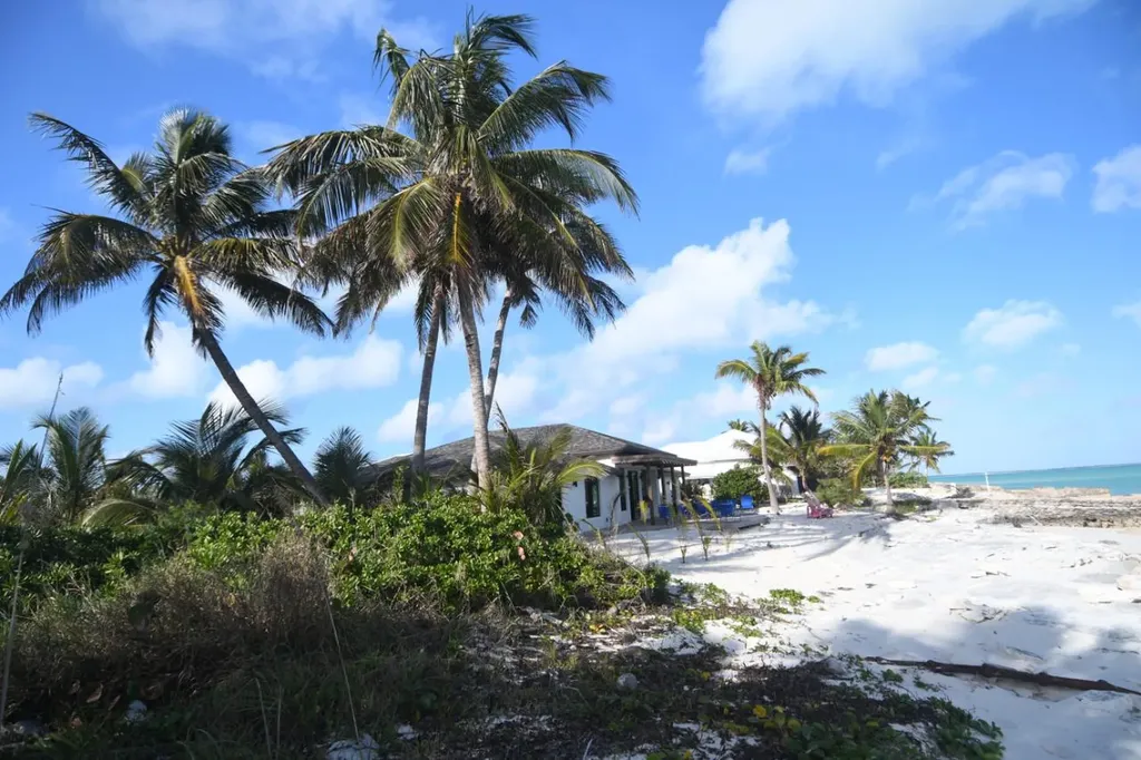 Tangled Up In Blue Abaco BS