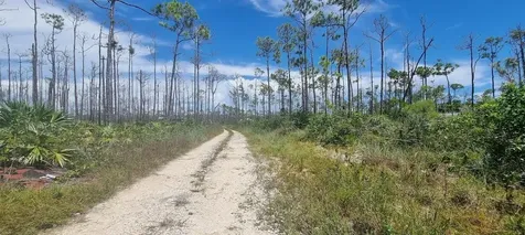 Perranporth Avenue 38 Grand Bahama Freeport BS