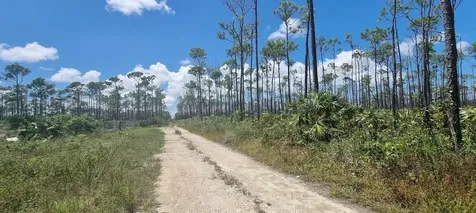 Perranporth Avenue 38 Grand Bahama Freeport BS