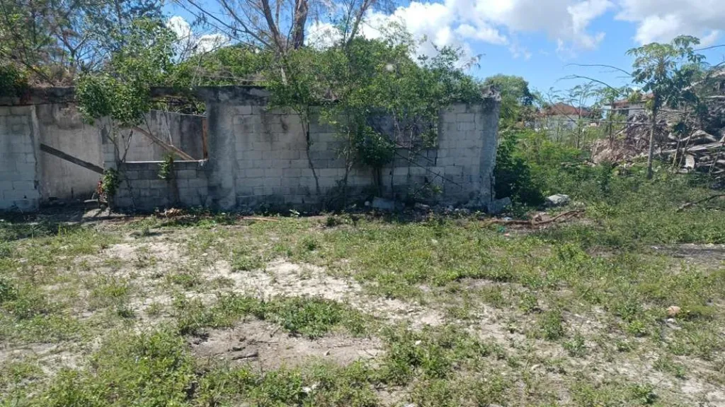 Fixer Upper Andros Andros BS