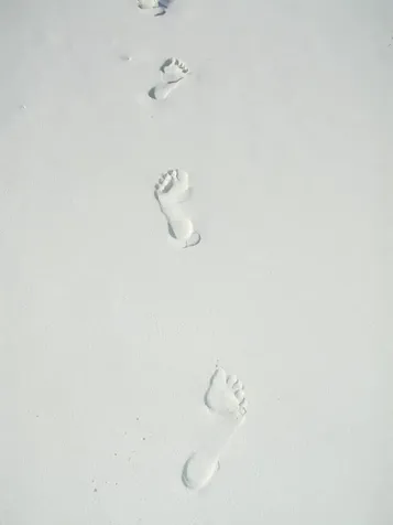 Farmers Hill Exuma BS