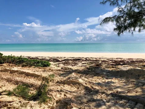 1.5 Acres Beachfront Lot Andros BS