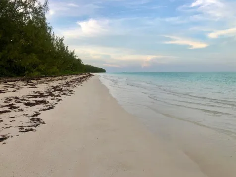 1.5 Acres Beachfront Lot Andros BS