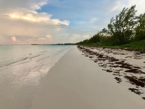 1.5 Acres Beachfront Lot Andros BS